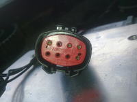 Escort mk7 1.6 zetec efi - rozpiska gniazd wiązki silnika