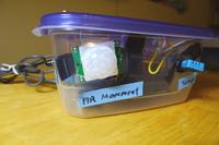 System nadzorowania domu, który wykryje wszystko, nawet gdy pies robi na trawnik