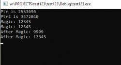 Screenshot of program output showing pointer addresses and variable values.
