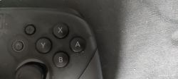 Nintendo switch pro pad - Brak fabrycznego podświetlenia.