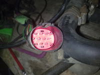 Escort mk7 1.6 zetec efi - rozpiska gniazd wiązki silnika