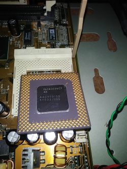 Anonimowe elektro-chomiki + konkurs(-y)