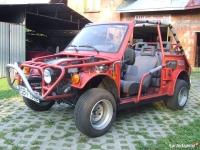 Buggy Diagram - 2-Person Off-Road Buggy Schematic for Field Use: Plans & Suggestions