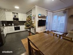 Living room with an open-plan kitchen and a Christmas tree next to the kitchen.