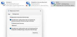 Zrzut ekranu ustawień sieciowych w Windows 11 z wybranym udostępnianiem połączenia internetowego