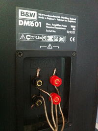 Jak wyciszyć szumy w kolumnach B-W przy podłączeniu do wzmacniacza z wieży?