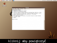 Karmelkowy Koliberek - polski remix Ubuntu 9.10 już jest!