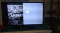 Samsung 40 TV - połowa ekranu biała, czy usterka jest naprawialna?