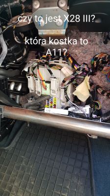 Ford C-MAX 2012 2l - nie działa sterowanie przekaźnika wentylatorem nawiewu