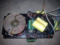 Tonsil Menuet 200 - cewka, zwrotnica