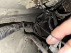 Citroen Jumper 2009 kamera cofania nie włącza ekranu, bezpiecznik S31 OK