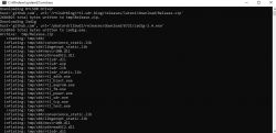 RTLSDR and Zadig Driver Download Process Screenshot of a terminal window showing the process of downloading and extracting files for RTLSDR and Zadig drivers.