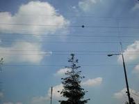 What are "bullets" on high voltage pylons for?