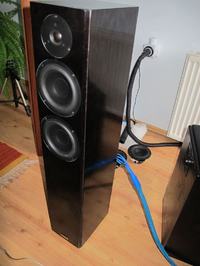 Tannoy R2 - Jak poprawić jakość dźwięku przez modyfikację zwrotnicy?