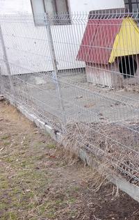 Connecting Electric Energizer to Dog Pen Fence: Galvanized Wire Panels, Earth Electrode, & Setup Connecting Electric Energizer to Dog Pen Fence: Galvanized Wire Panels, Earth Electrode, & Setup