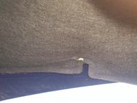 Dacia Dokker - Co mogło uszkodzić izolację silnika? Szkodniki czy elementy auta?