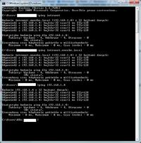 Windows SBS - Przekierowanie DNS na strone www w innej lokalizacji