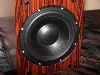 Budżetowy subwoofer na SW.STX.8.2.300.2x2.F.S.PC Budżetowy subwoofer na SW.STX.8.2.300.2x2.F.S.PC