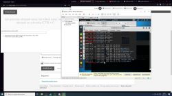 Kali Linux on VMware: Issues Downloading Files via Terminal - open-vm-tools-desktop, Tor