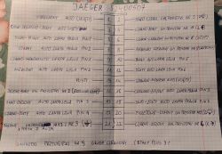 Notatki dotyczące podłączenia modułu Jaeger 52400507