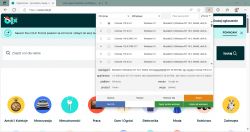 Zrzut ekranu strony OLX z rozszerzeniem User Agent Switcher and Manager.