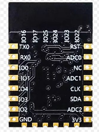 Electronic Module with Labeled Pins Electronic module with connectors and labeled pins.