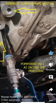 NISSAN MURANO Z51 2.5 DCI 190 - NISSAN MURANO - rozszczelniona chłodnica automat