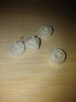 ANET A8 3D Printer Non-Stick Print Issue: Wolfix PLA, Nozzle 210°C, Bed 60-80°C, Cura Settings