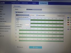 Zrzut ekranu z harmonogramu kamery, na którym wybrana jest opcja Ruch oraz widoczne są zielone paski zaznaczające godziny działania.