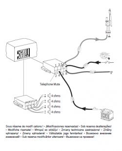 Czy potrzebny mi będzie separator (wzmacniacz antenowy)?