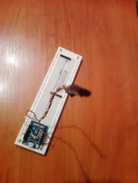 Termometr z zapisem danych. Esp8266 Termometr z zapisem danych. Esp8266