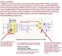 Exploring the Inner Workings of PJ-MGW1103 CT-Clamp Energy Meter: Tuya, BL0942, CB2S Components