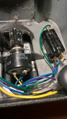 Kaczka Cry Baby nie kwaka - kaczka gitarowa nie kwaka