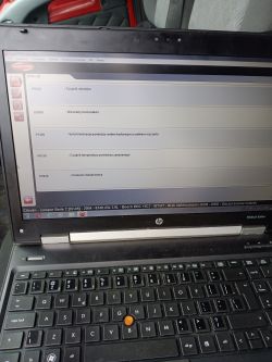 Zdjęcie ekranu laptopa z wyświetlonymi kodami błędów samochodowych.