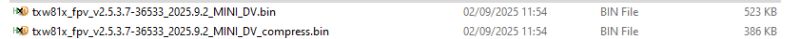 Screenshot showing two BIN files with technical names, date and time modified, and file sizes.