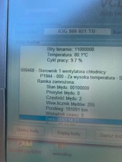 Skoda Octavia 2 1.9 TDI 2009r - Co oznaczają te błędy?