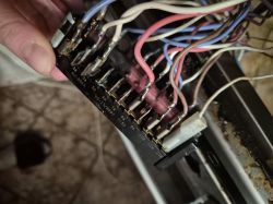 Amica 58GED3.33HZpTaDNAQ(Xx) Schemat podłączenia przełącznika piekarnika.