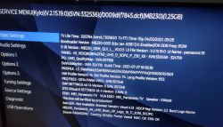 Panasonic TV Service Menu Service menu of Panasonic TX-43HX580E TV with technical information.
