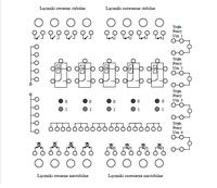 Blokada przekaźnikowa jak wykonać