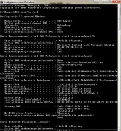 No internet access despite being connected to the network ...