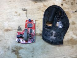 Interior of BW-MO2 Mouse after Disassembly Disassembled BW-MO2 mouse showing interior and electronic components.