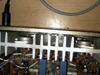 Renowacja i regeneracja altusów 75 od podstaw