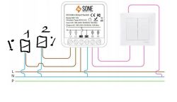 Which Tuya module for 2 24 V solenoid valves with pushbuttons and status sync