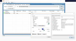 Screenshot of Dipiscan program with network connection information.