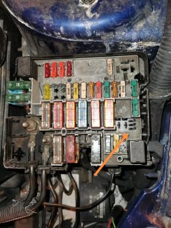 Brak świateł postojowych Peugeot 206 2.0 GTI 2001r.