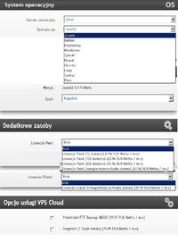 vps - Jaki serwer vps kupić i po co wybór tych ustawień?