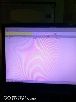 WD MY CLOUD 2TB - Utrata połączenia w sieci lokalnej, jak sobie poradzić?