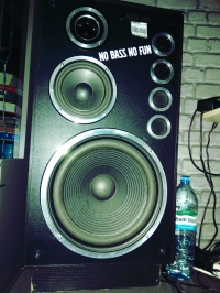 Charczące Altus 140 pod Yamaha A520 - możliwa uszkodzona zwrotnica