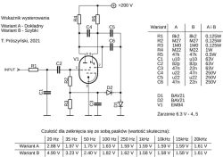 Klasa D (TPA3126 / TPA3156) z pętlą post-filter feedback oraz z lampowym stopniem wstępnym,