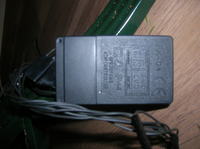 Słabo świcące diody LED na choince